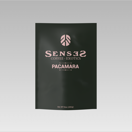 Pacamara (bold, fruit-forward, intense)