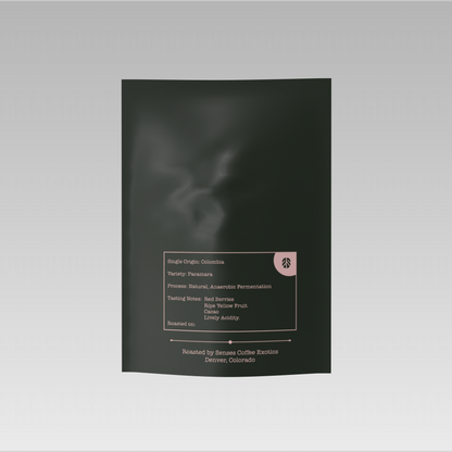 Pacamara (bold, fruit-forward, intense)