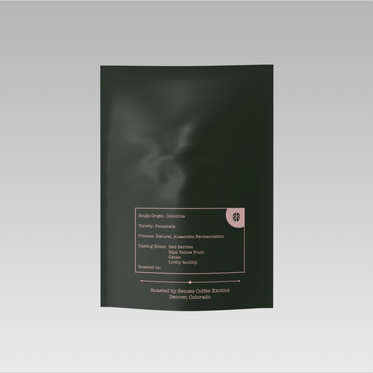 Pacamara (bold, fruit-forward, intense)